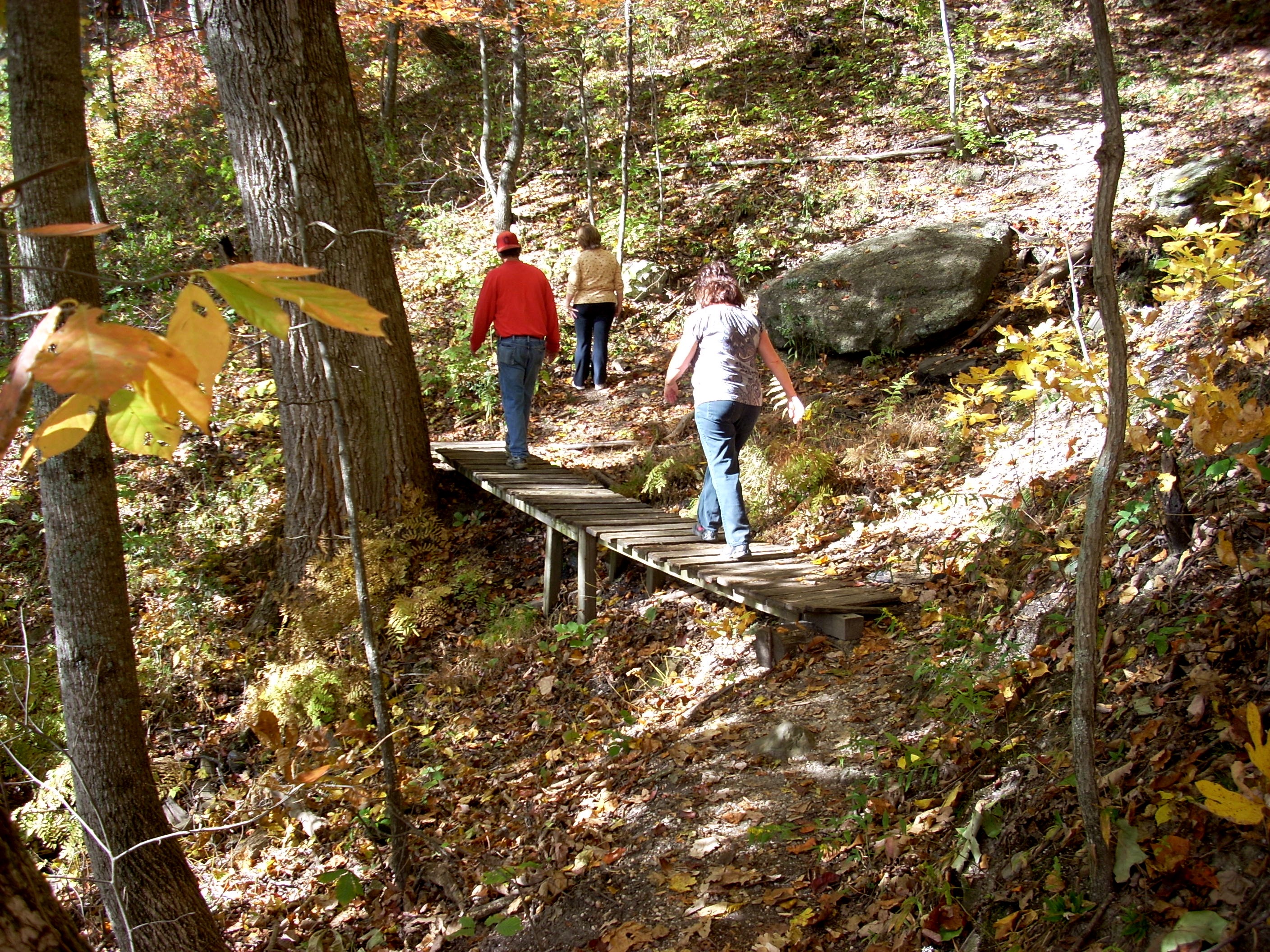 Pilot Knob Trail